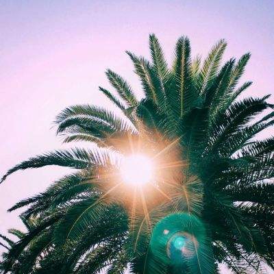 lm体育官网下载截图