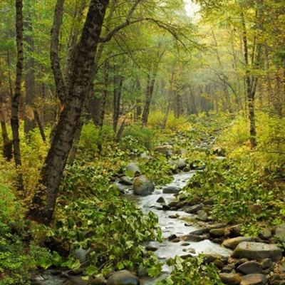 三亿体育app下载